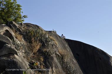 05 Mount_Abu_DSC4108_b_H600